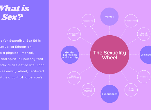 Sexuality Wheel