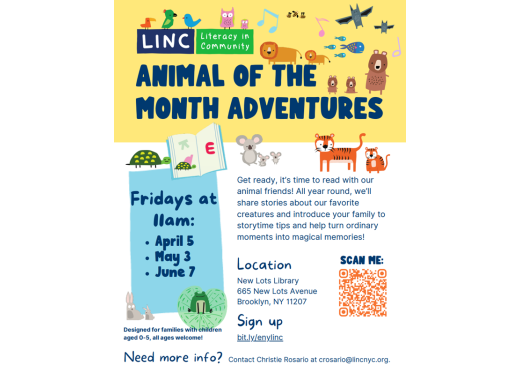 Animal of the Month Adventures Flyer