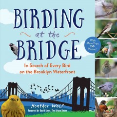 Birding at the Bridge: In Search of Every Bird on the Brooklyn Waterfront by Heather Wolf