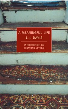 A Meaningful Life by L J Davis