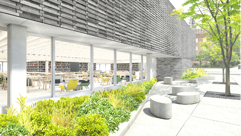 Rendering of Red Hook Library, courtesy of LEVENBETTS