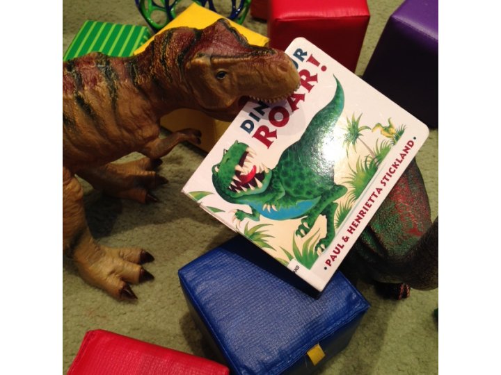 Dinosaur toy and dinosaur book