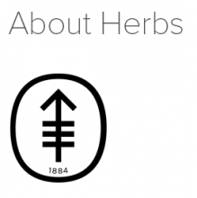 Memorial Sloan Kettering's Information About Herbs, Botanicals & Other Products logo